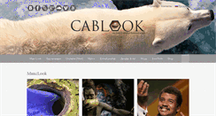 Desktop Screenshot of cablook.com